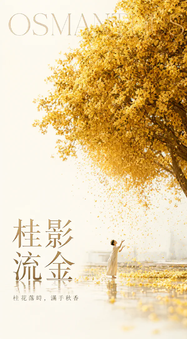 桂影流金