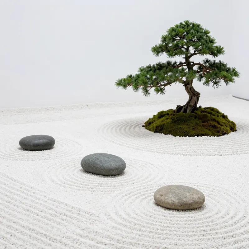 Minimalist Japanese Garden