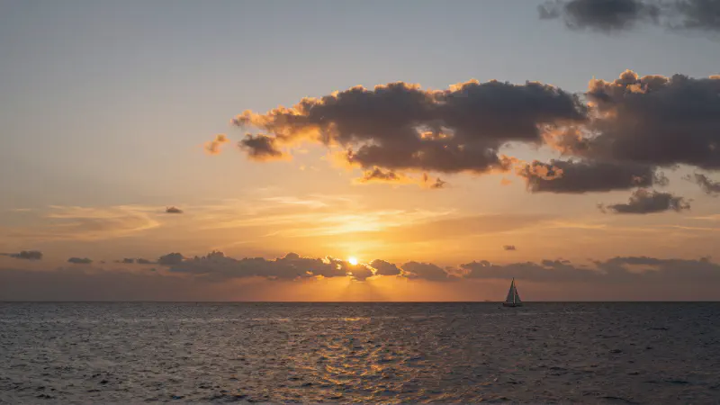 Oceanic Sunset Vista
