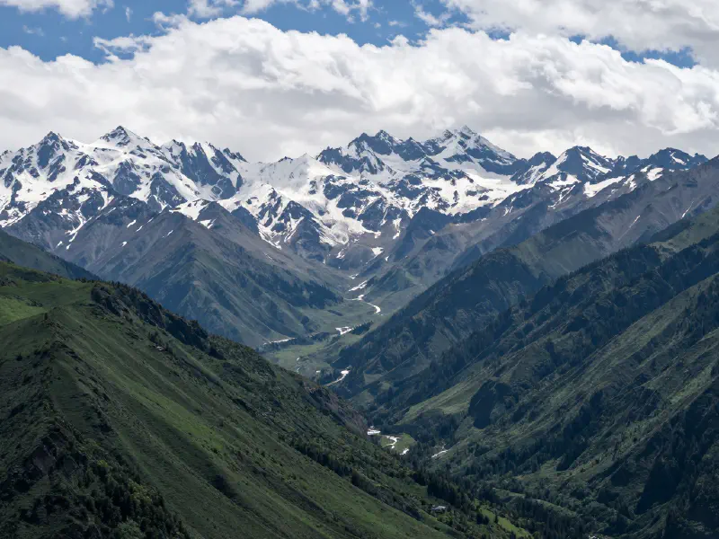Mountain Vista