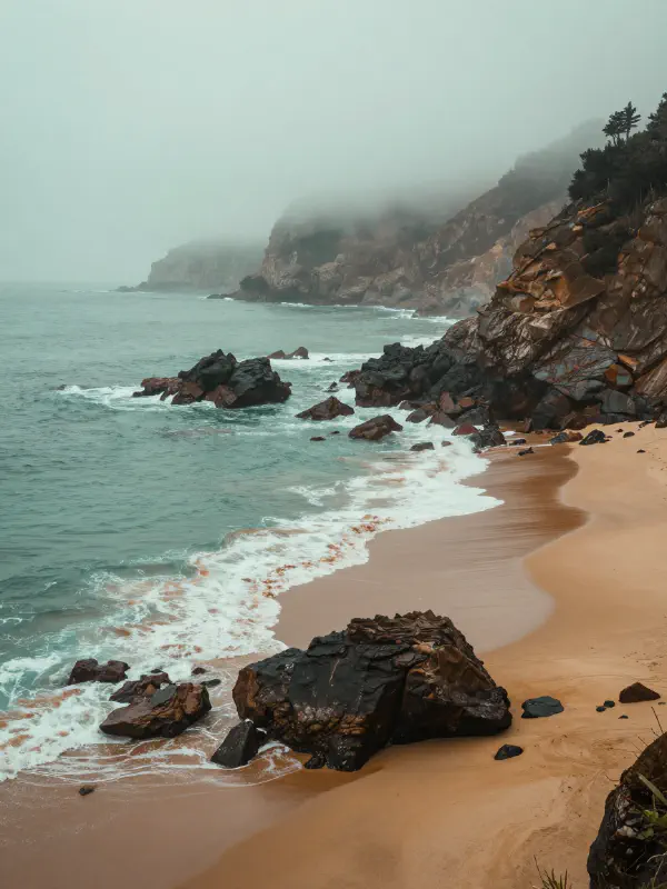 霧色海岸線攝影 (Misty Coastline Photography)