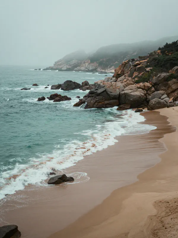 寂靜迷霧海岸 (Silent Misty Shore Detail)