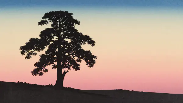 Minimalist Landscape
