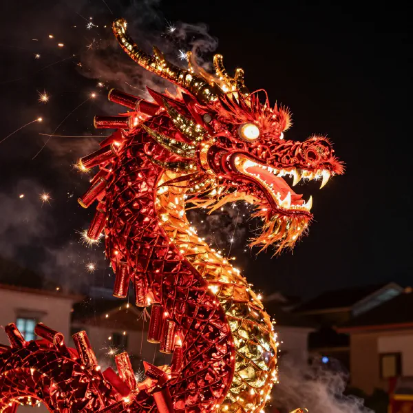 Macro Pyrotechnic Dragon