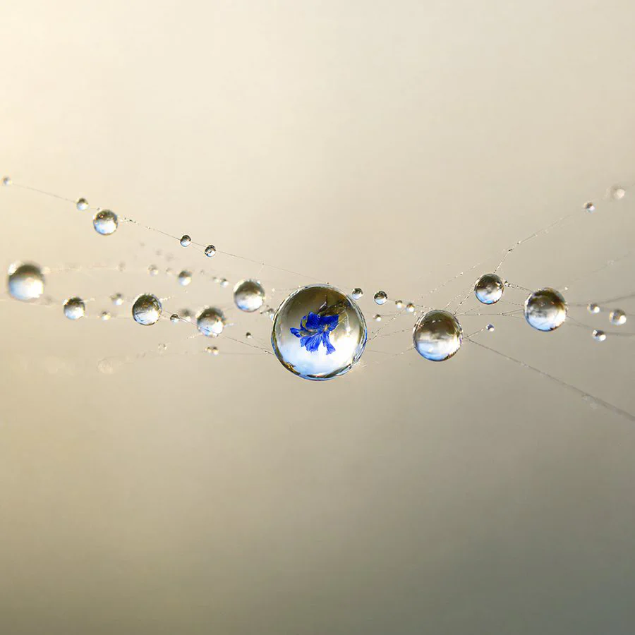 ST4_dewmacro_s30